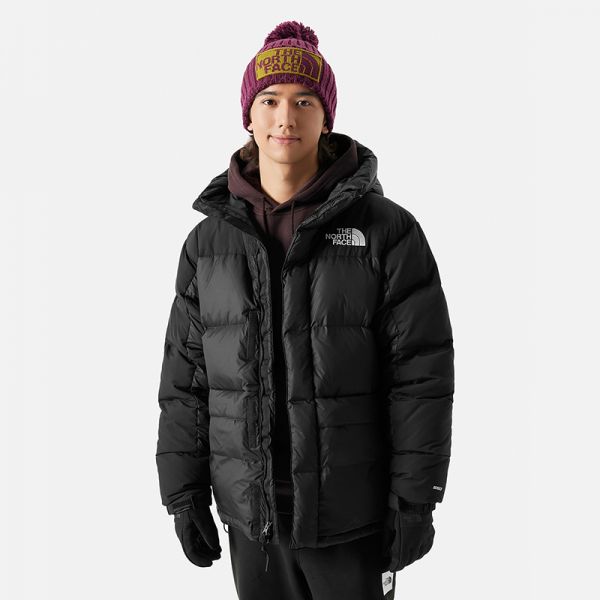 The North Face北面HMLYN喜马拉雅鹅绒羽绒服男士RDS550|4QYX
