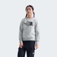 北面童装儿童小熊印花卫衣男女户外保暖新款TheNorthFace|8F15